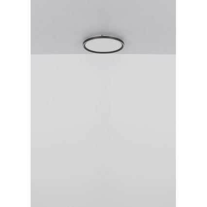 Globo - Dimbare LED Plafondlamp LED/48W/230V 2700-6000K + afstandsbediening diameter 50 cm