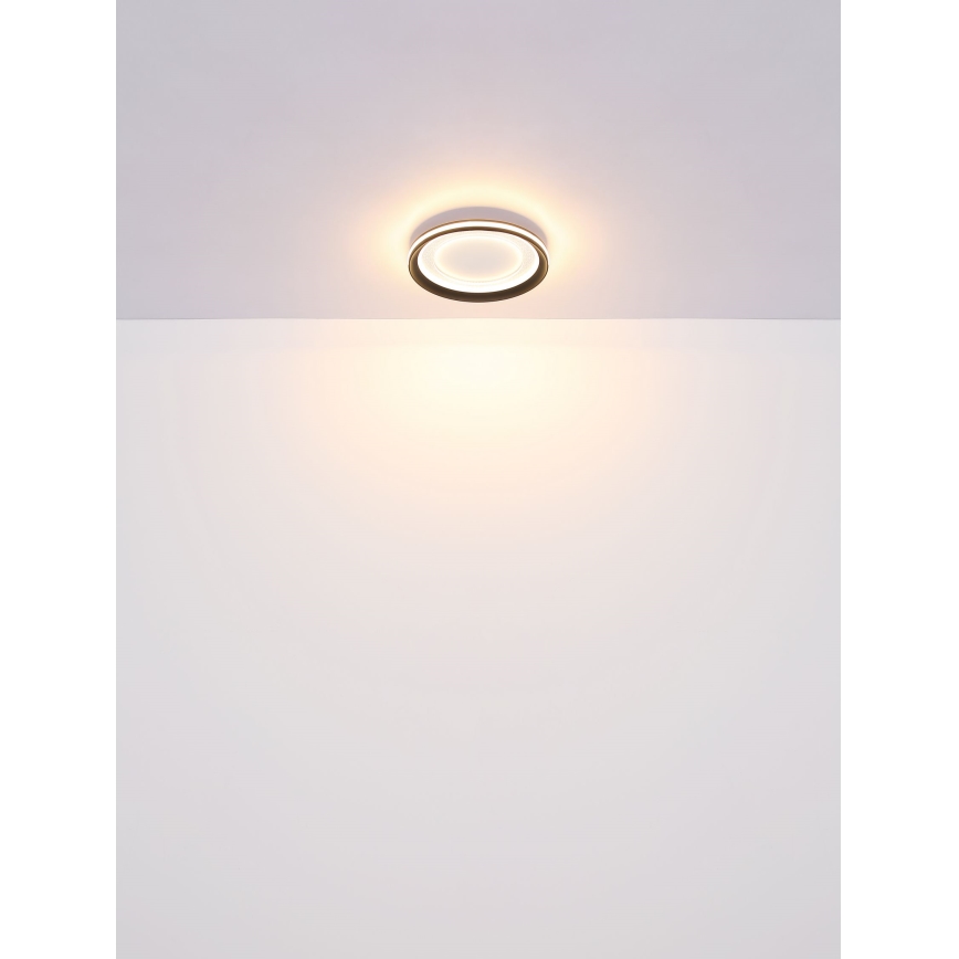 Globo - Dimbare LED Plafondlamp LED/24W/230V 2700-6000K + afstandsbediening