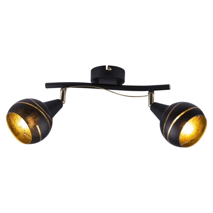 Globo 54005-2 - Spot LOMMY 2xE14/40W/230V