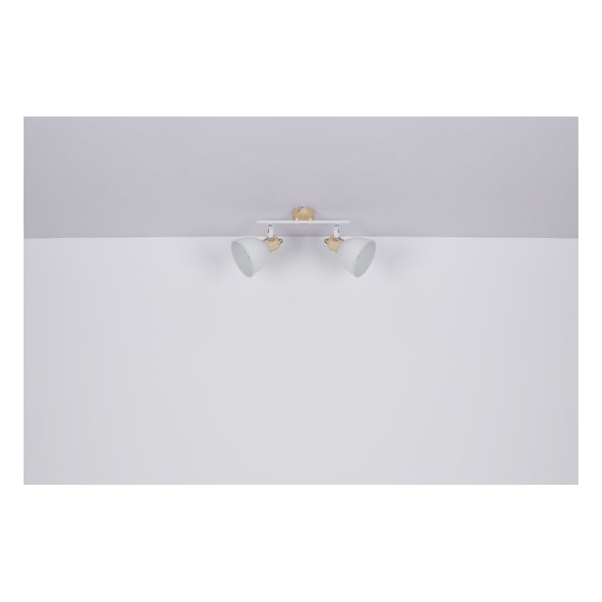 Globo - Spot 2xE27/40W/230V