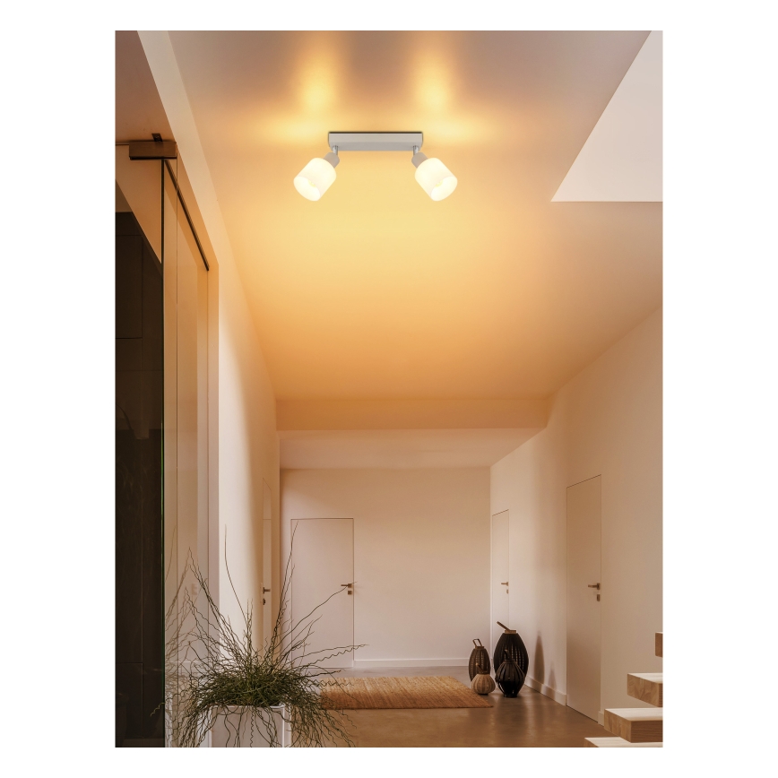 Globo - Spotlamp 2xE14/25W/230V