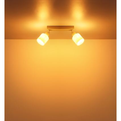 Globo - Spotlamp 2xE14/25W/230V