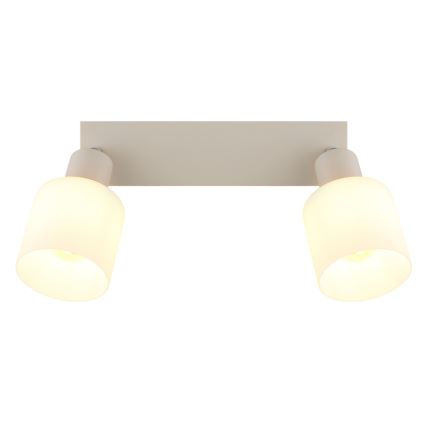 Globo - Spotlamp 2xE14/25W/230V