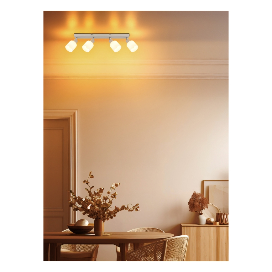 Globo - Plafondspot 4xE14/25W/230V