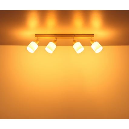 Globo - Plafondspot 4xE14/25W/230V