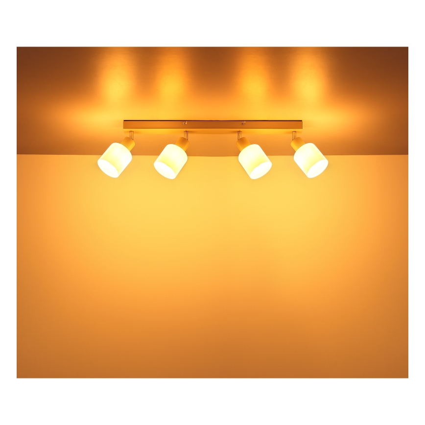 Globo - Plafondspot 4xE14/25W/230V