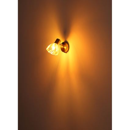 Globo - Wandspot 1xE14/40W/230V goud