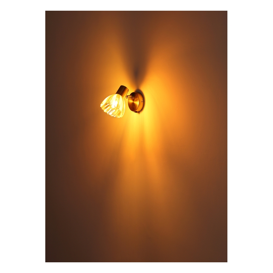 Globo - Wandspot 1xE14/40W/230V goud