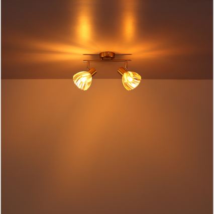 Globo - Spot 2xE14/40W/230V goud