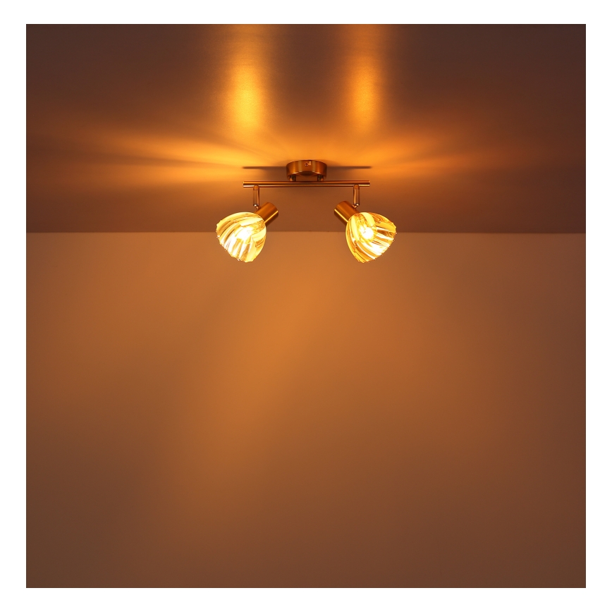 Globo - Spot 2xE14/40W/230V goud