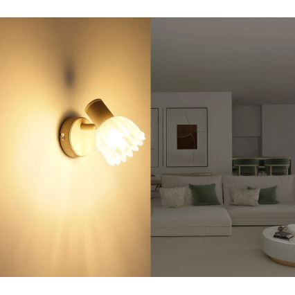 Globo - Wandspot 1x E14/40W/230V