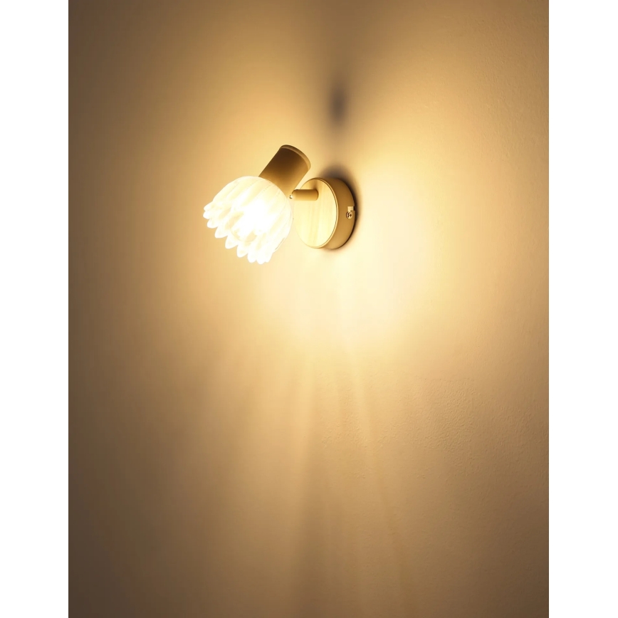 Globo - Wandspot 1x E14/40W/230V