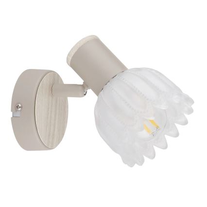 Globo - Wandspot 1x E14/40W/230V