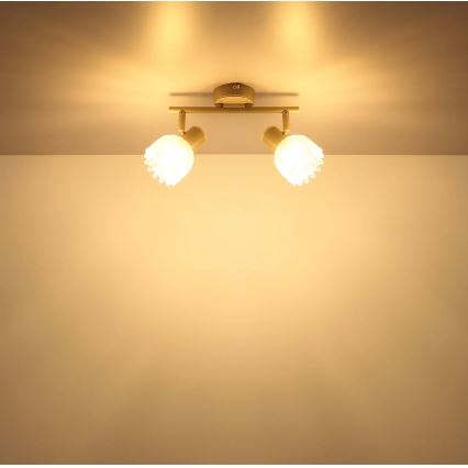 Globo - Spotlamp 2xE14/40W/230V