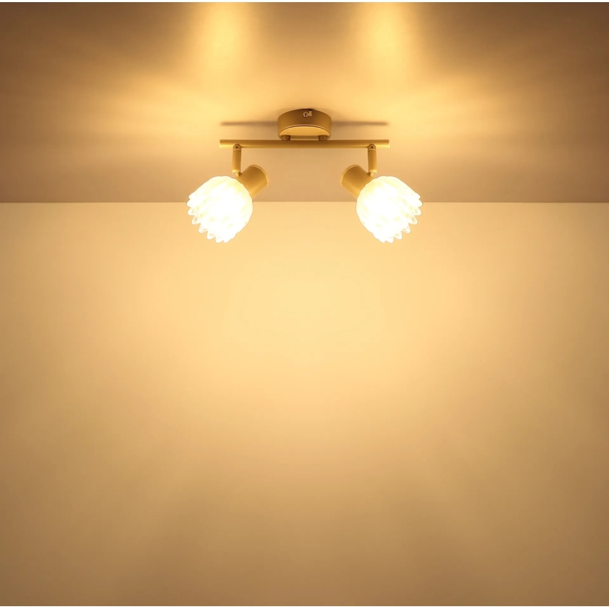 Globo - Spotlamp 2xE14/40W/230V