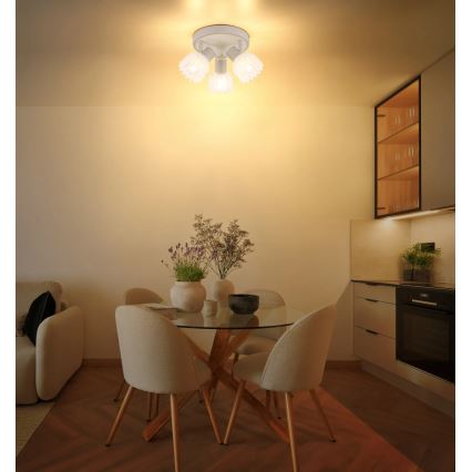 Globo - Spotlamp 3xE14/40W/230V