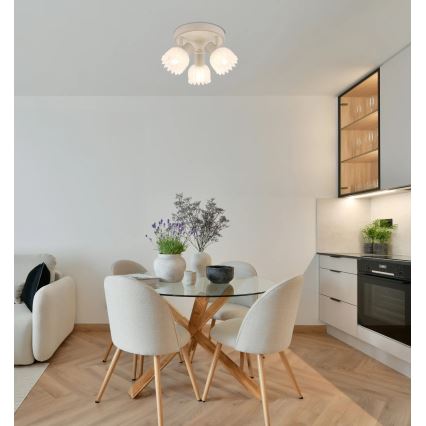 Globo - Spotlamp 3xE14/40W/230V