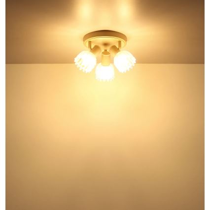 Globo - Spotlamp 3xE14/40W/230V