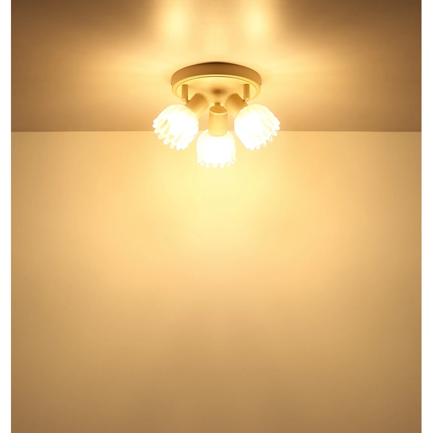 Globo - Spotlamp 3xE14/40W/230V