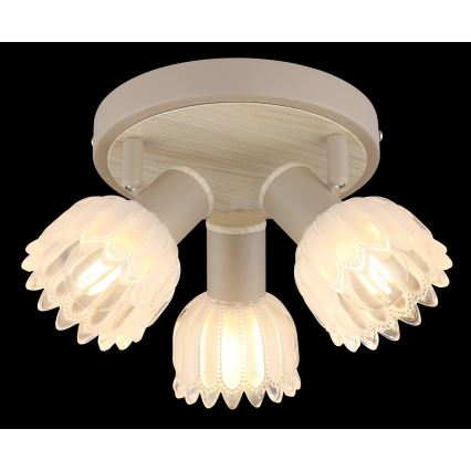 Globo - Spotlamp 3xE14/40W/230V