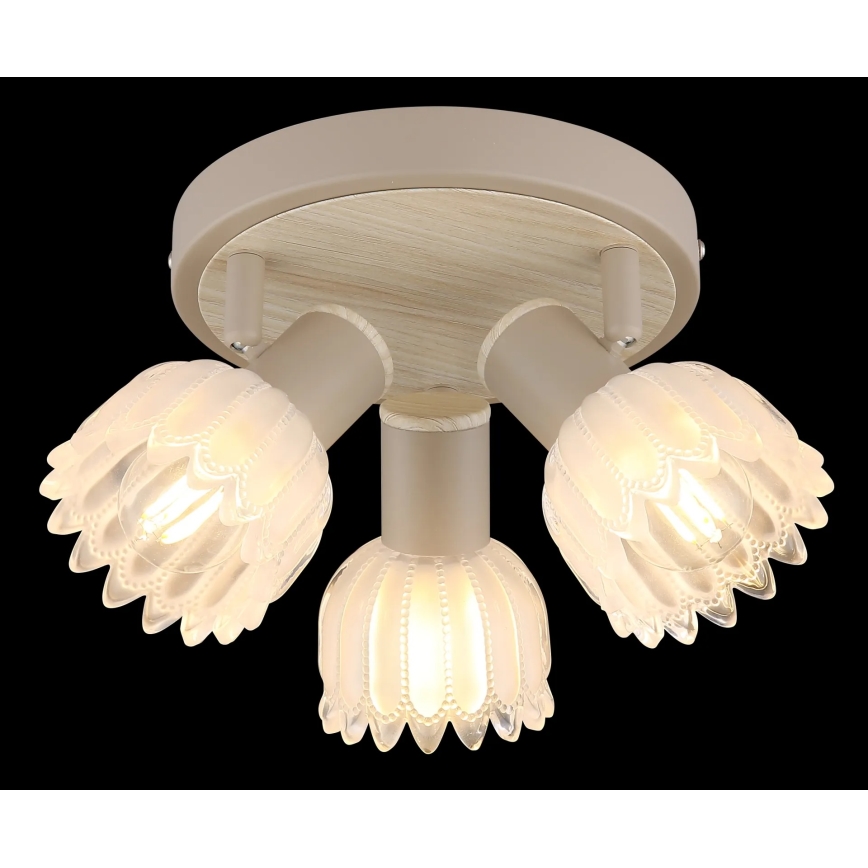 Globo - Spotlamp 3xE14/40W/230V