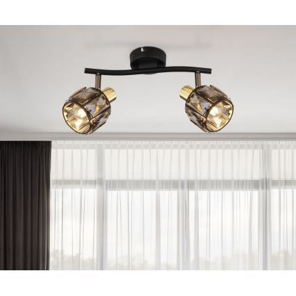 Globo - Inbouwspot 2xE14/40W/230V