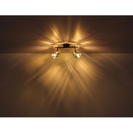 Globo - Inbouwspot 2xE14/40W/230V