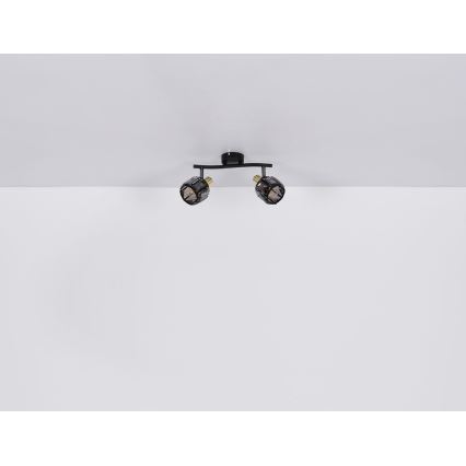 Globo - Inbouwspot 2xE14/40W/230V