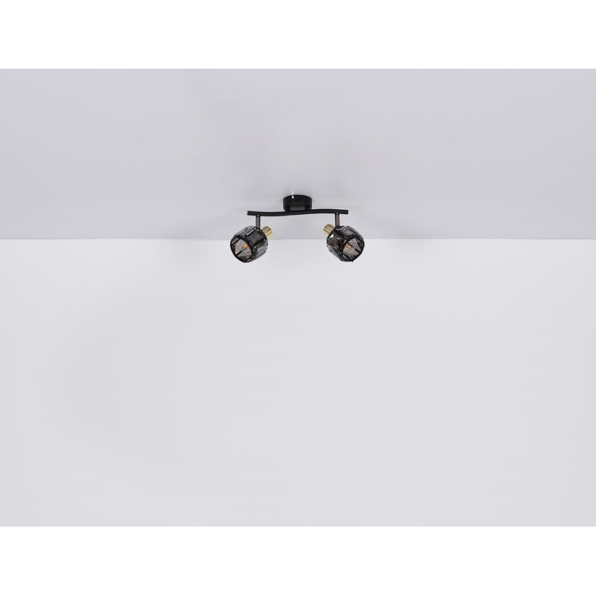 Globo - Inbouwspot 2xE14/40W/230V