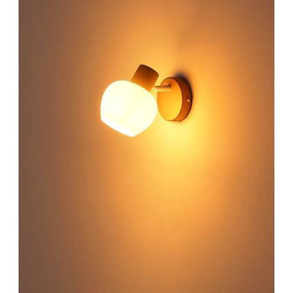 Globo - Wandspot 1xE27/40W/230V