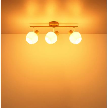Globo - Spotlamp 3xE27/40W/230V