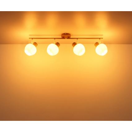 Globo - Spotlamp 4xE27/40W/230V