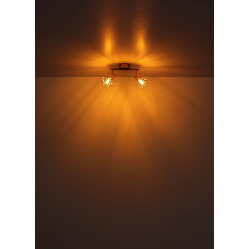 Globo - Spot 2xE14/40W/230V goud