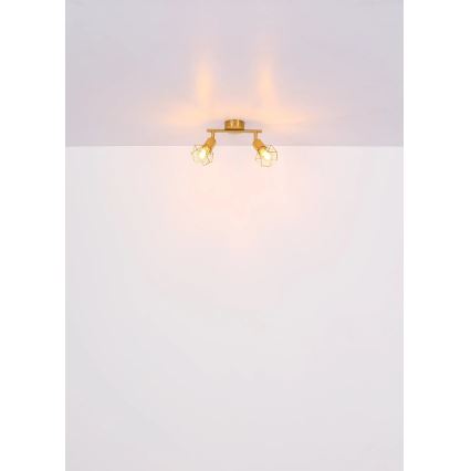 Globo - Spot 2xE14/40W/230V goud