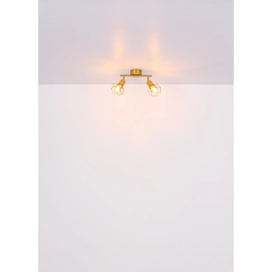 Globo - Spot 2xE14/40W/230V goud