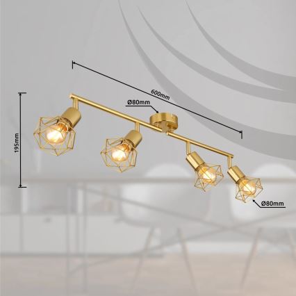 Globo - Spot 4xE14/40W/230V goud