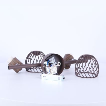 Globo 54817-2 - Spot ISABELLE 2xE14/40W/230V