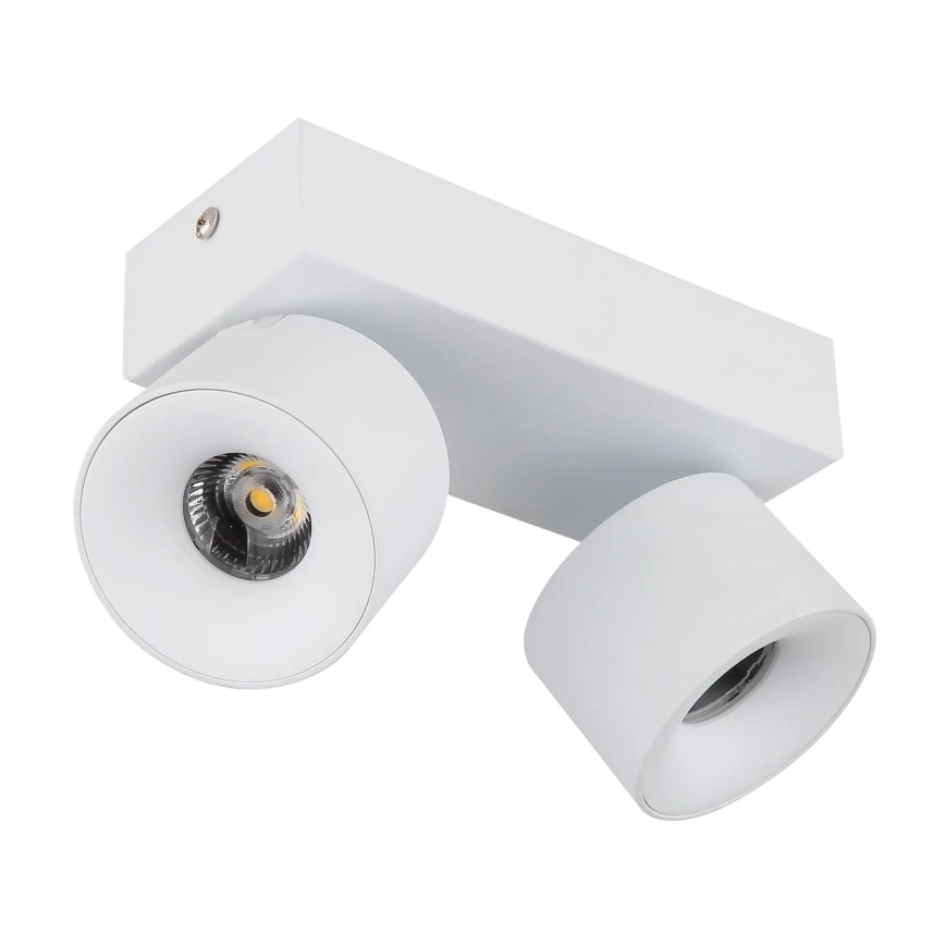 Globo - LED spot 2xLED/6W/230V wit