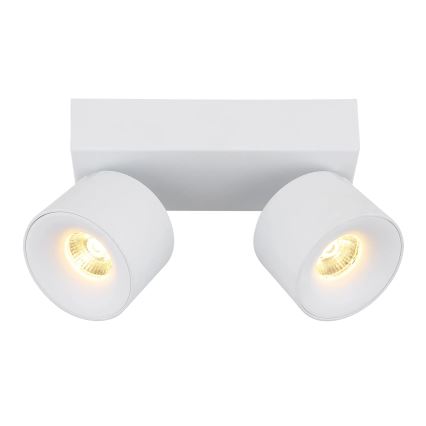 Globo - LED spot 2xLED/6W/230V wit