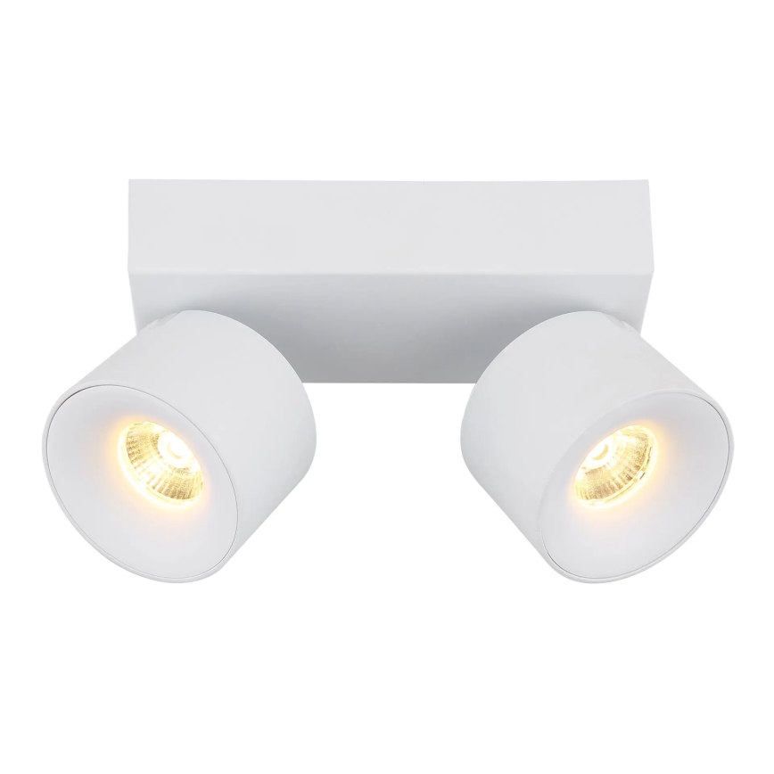 Globo - LED spot 2xLED/6W/230V wit