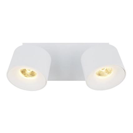Globo - LED spot 2xLED/6W/230V wit