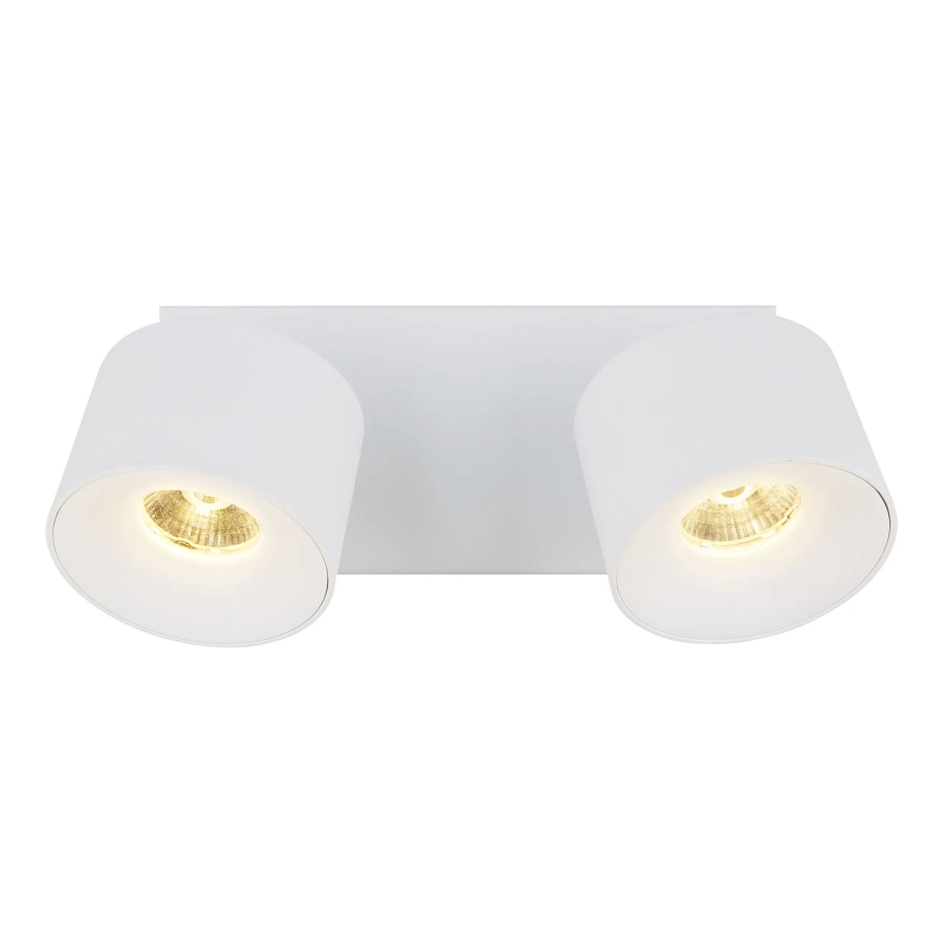 Globo - LED spot 2xLED/6W/230V wit