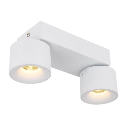 Globo - LED spot 2xLED/6W/230V wit