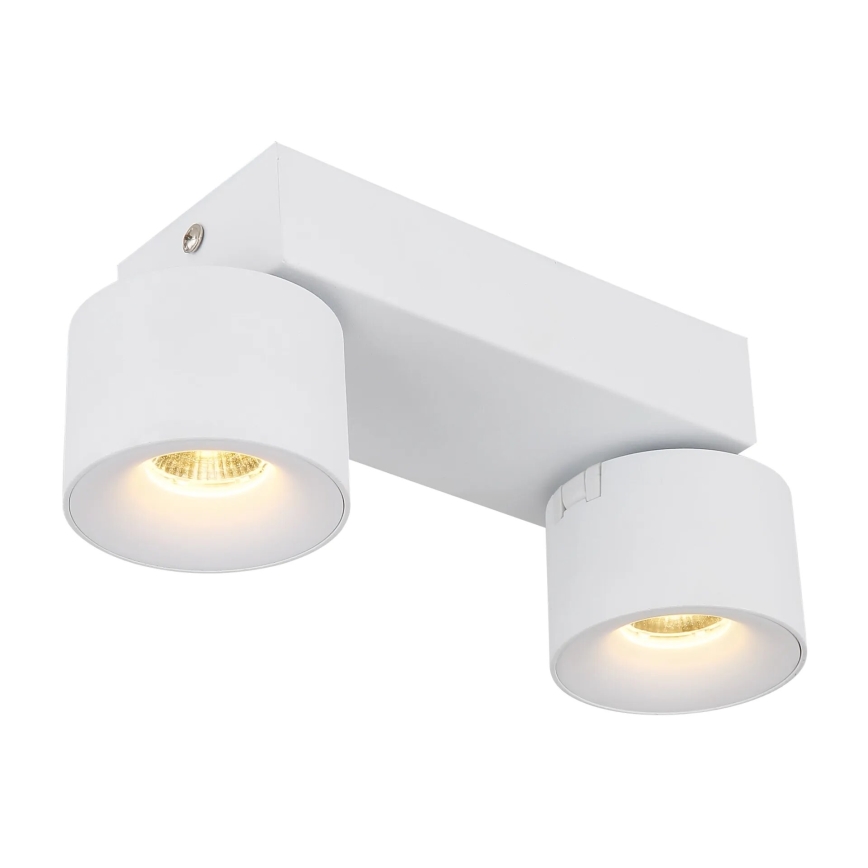 Globo - LED spot 2xLED/6W/230V wit