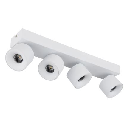 Globo - LED spot 4xLED/6W/230V wit