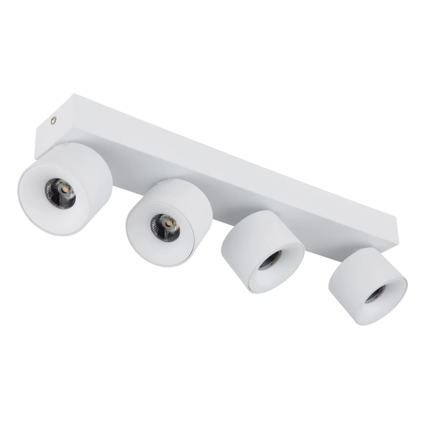Globo - LED spot 4xLED/6W/230V wit