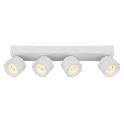 Globo - LED spot 4xLED/6W/230V wit