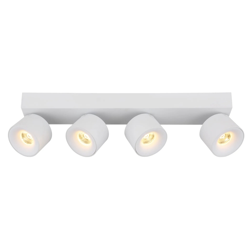 Globo - LED spot 4xLED/6W/230V wit