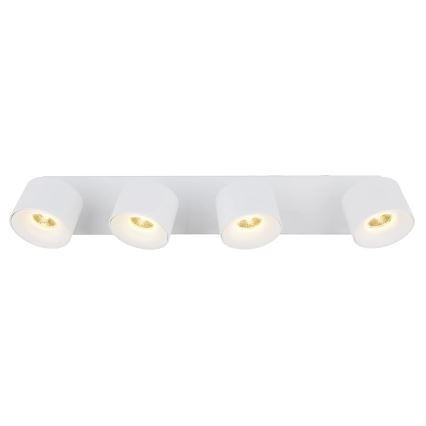 Globo - LED spot 4xLED/6W/230V wit