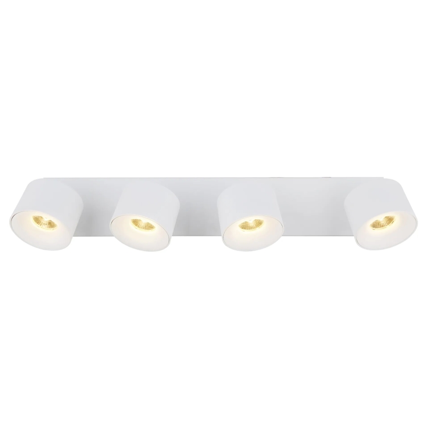 Globo - LED spot 4xLED/6W/230V wit